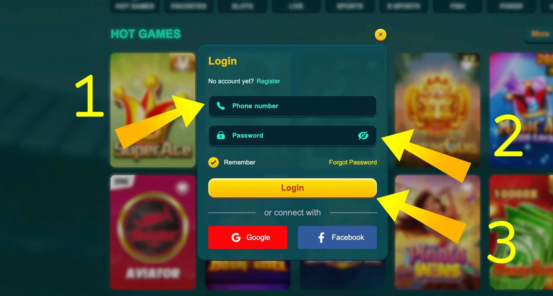 EK333 login form fields