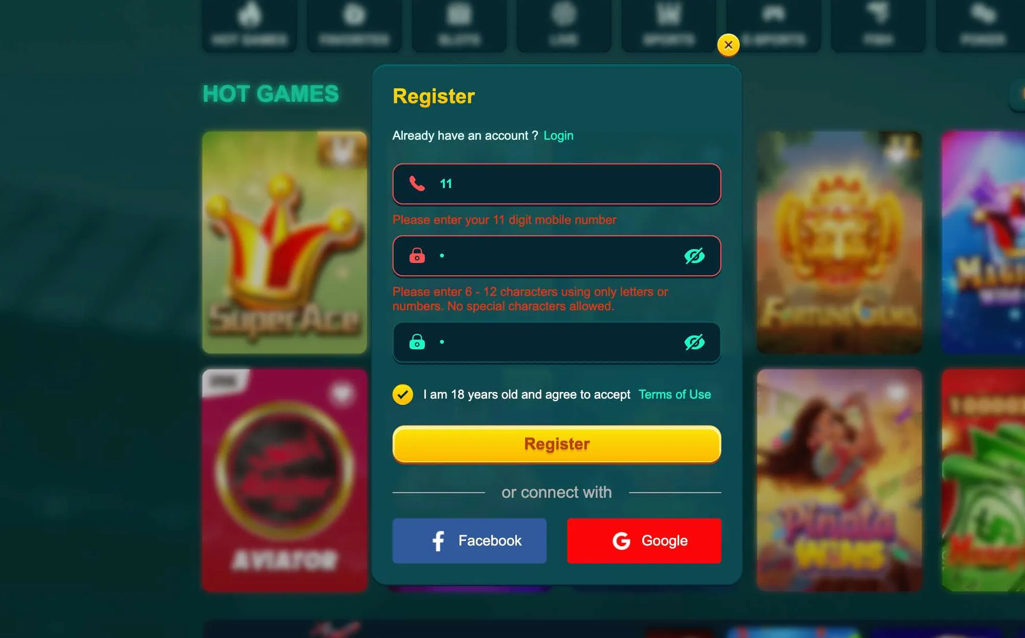 EK333 registration form errors